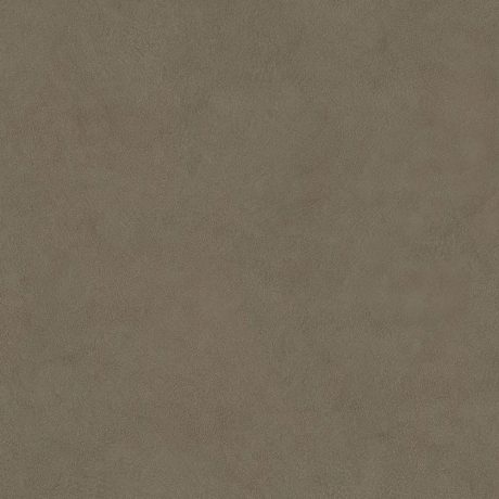 Plaster Ash