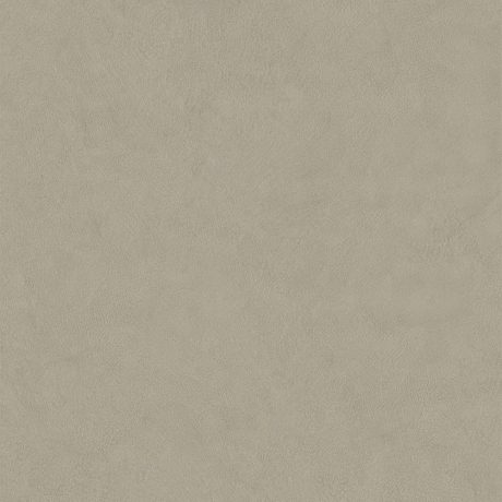 Plaster Bone