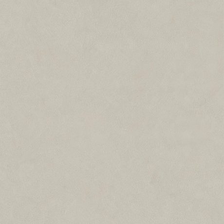 Plaster Snow